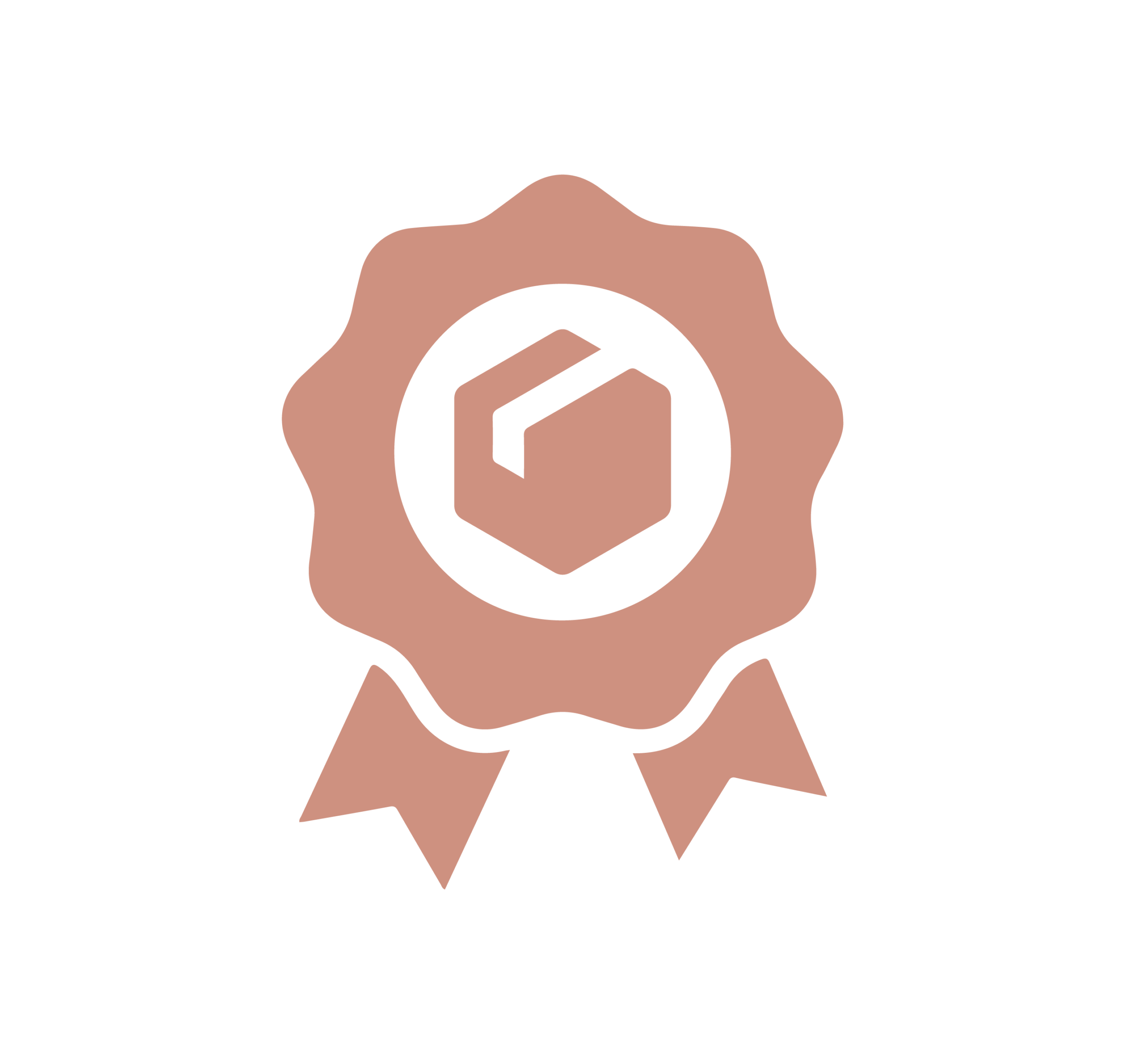 ABOUT US premium quality icon 17